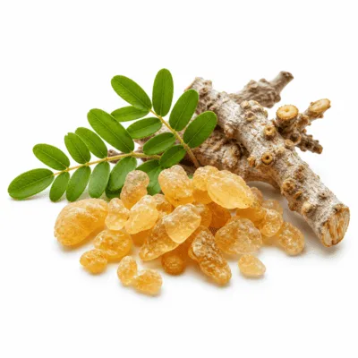 Boswellia